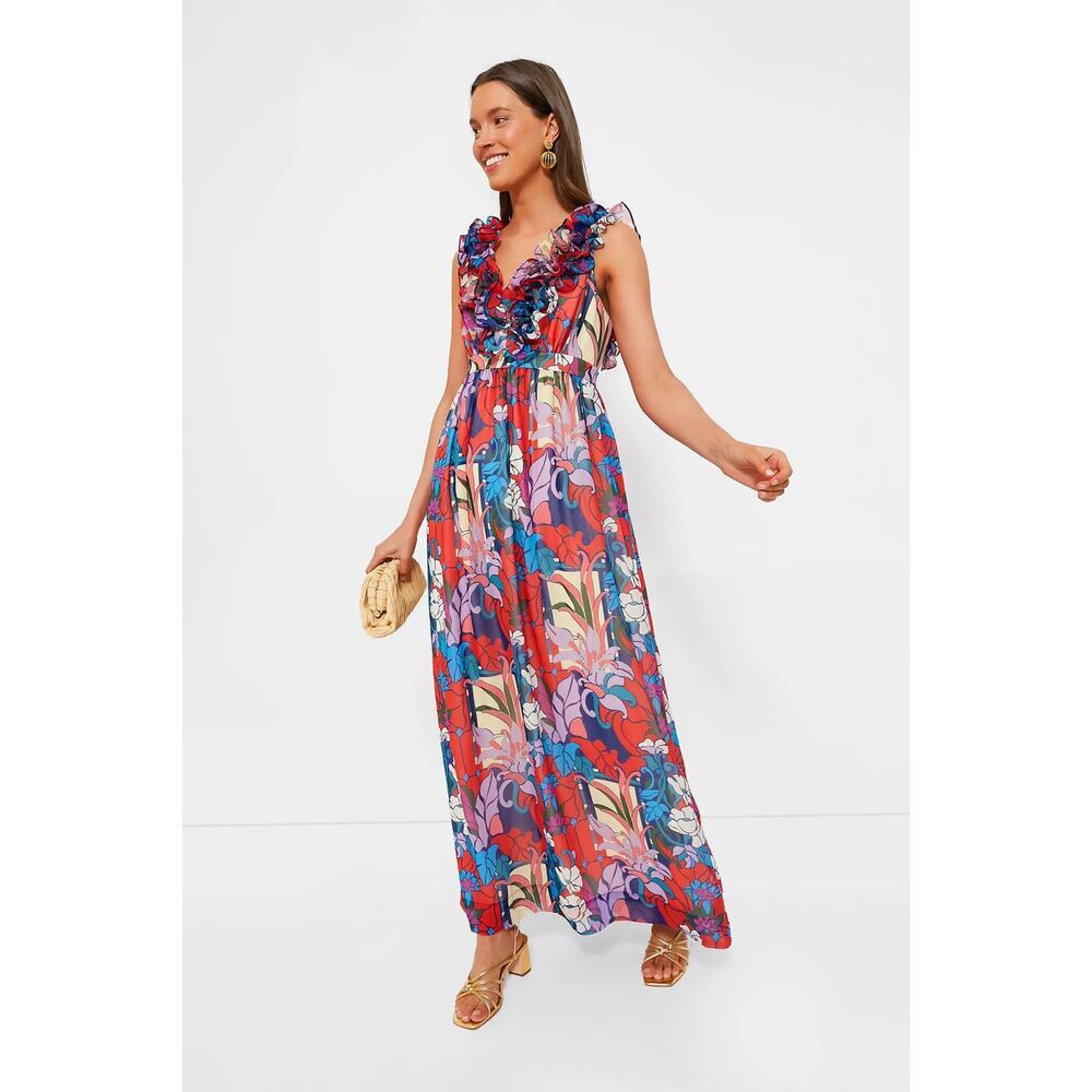 TUCKERNUCK Climbing Cosmos Priscilla Dress Size S NWT Retail $328 Tuckernuck